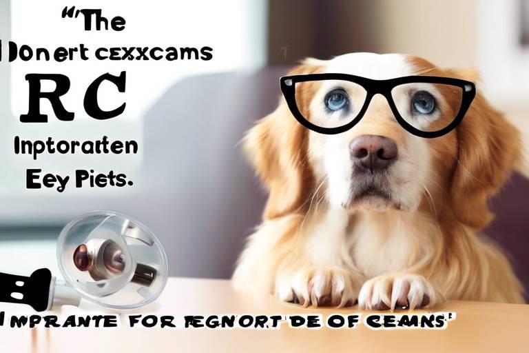 The Importance of Regular Eye Exams for Pets