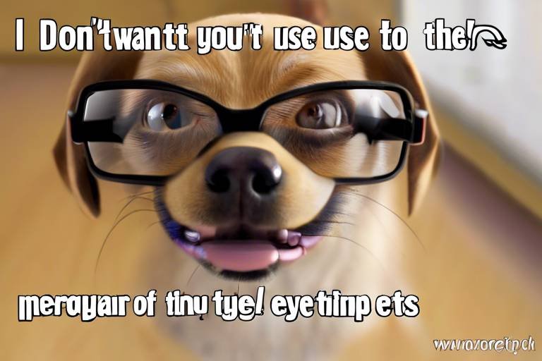 The Importance of Regular Eye Care for Pets