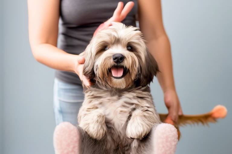 How to Teach Your Dog to Hold Still During Grooming