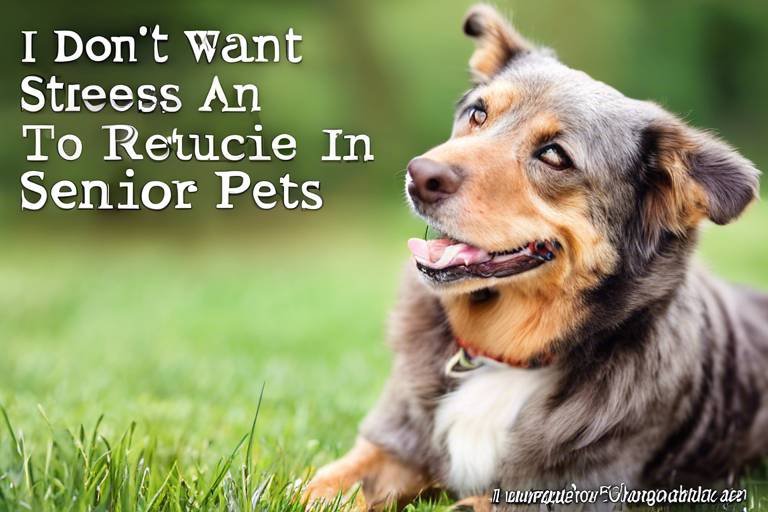 Tips for Reducing Stress in Senior Pets