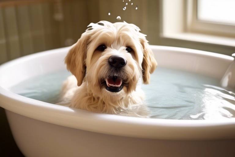 The Benefits of a Regular Bathing Routine for Pets