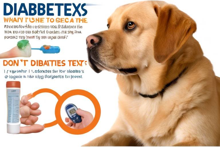 Signs of Diabetes in Pets - What to Look For
