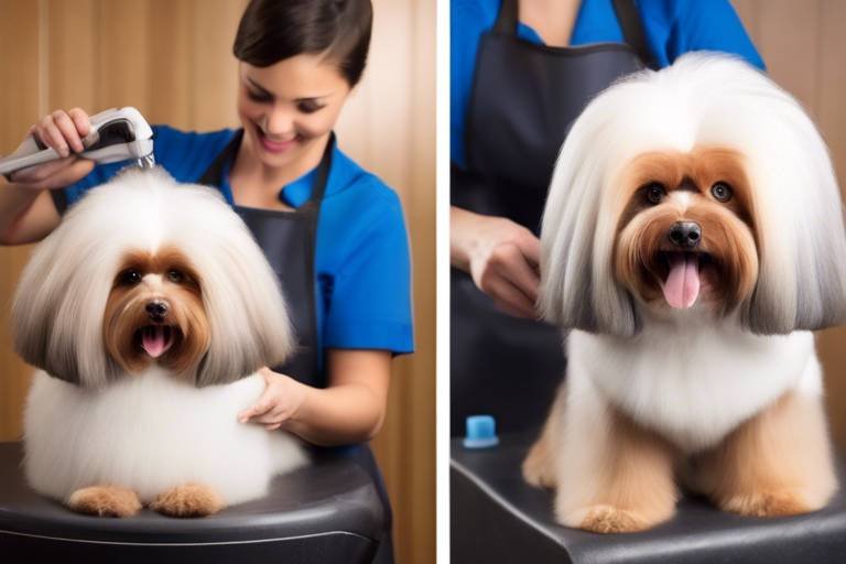 The Benefits of Professional Pet Grooming