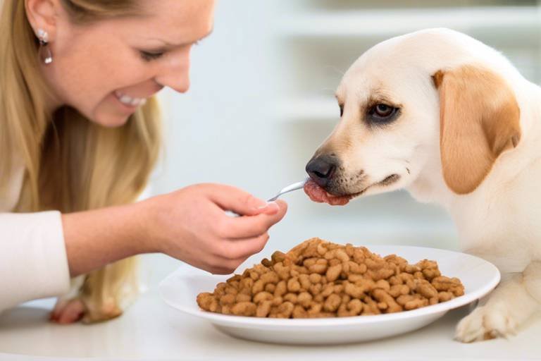 How to Help Your Pet Adjust to New Food