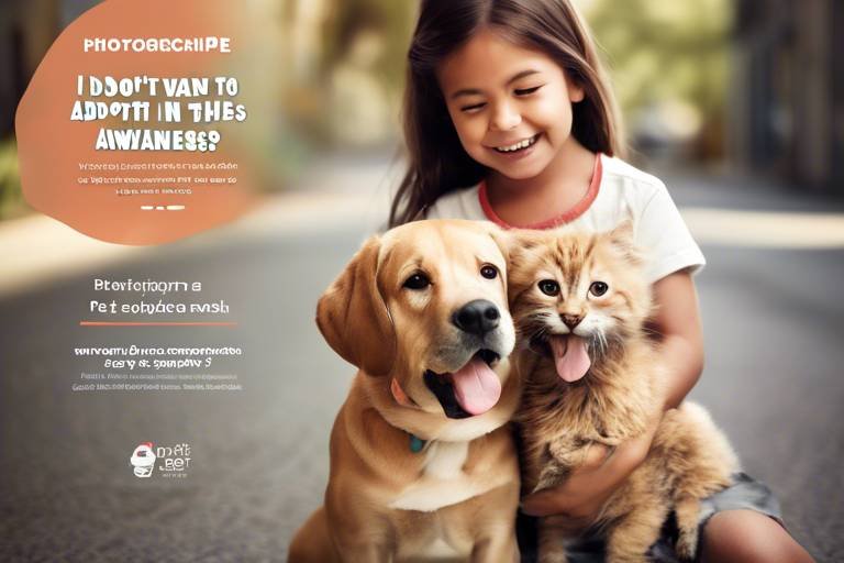 How to Create a Pet Adoption Awareness Campaign