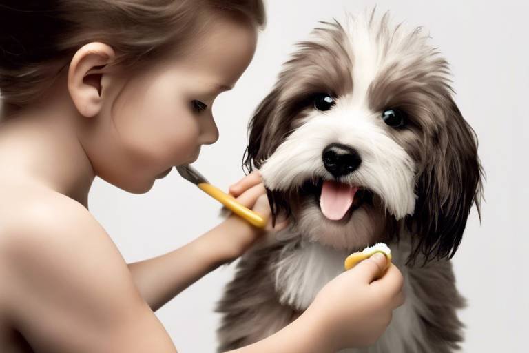 How to Use Grooming as a Form of Playtime