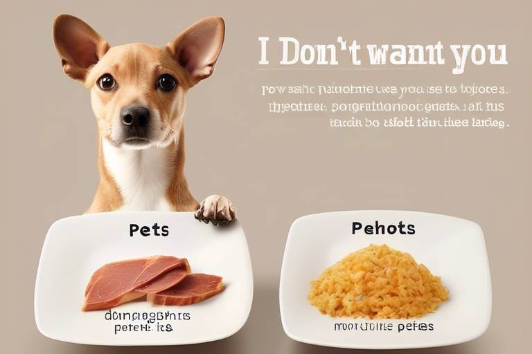 How to Determine the Right Portion Sizes for Pets