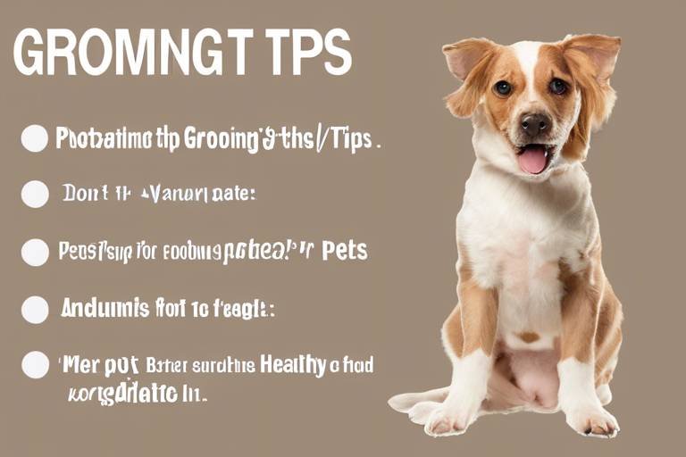 Grooming Tips for Healthy Pets