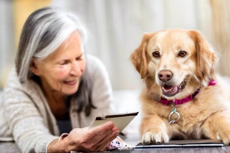 How to Create a Senior Pet Wellness Journal