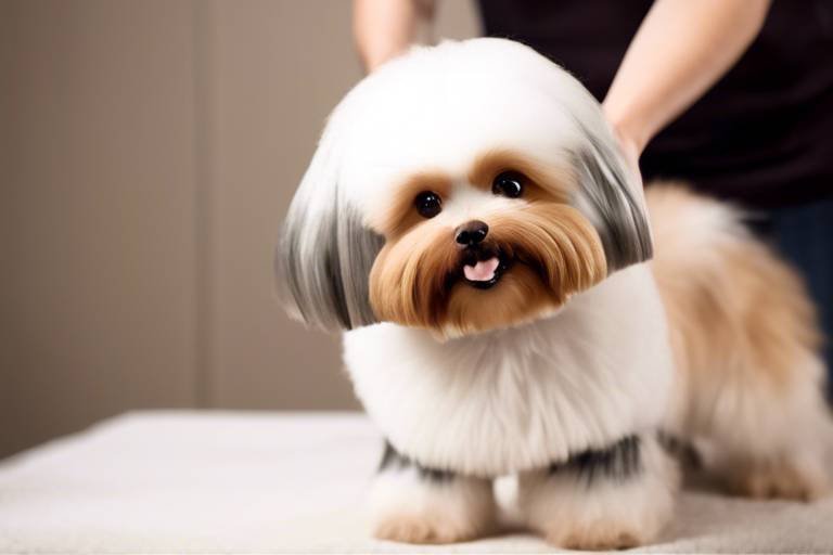 Tips for Safe Pet Grooming to Avoid Injuries