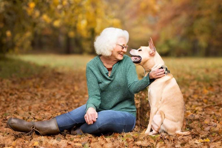 Tips for Building a Bond with Your Senior Pet