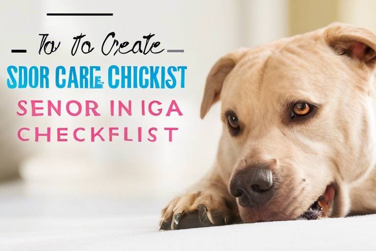 How to Create a Senior Pet Care Checklist