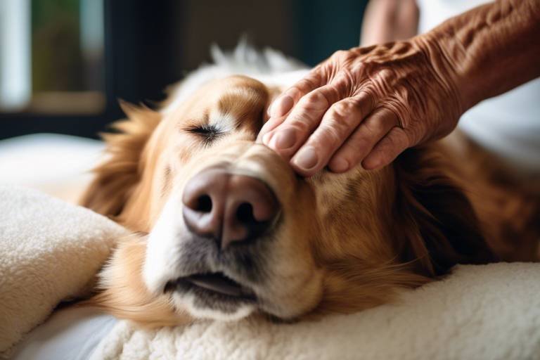 The Benefits of Massage for Older Pets