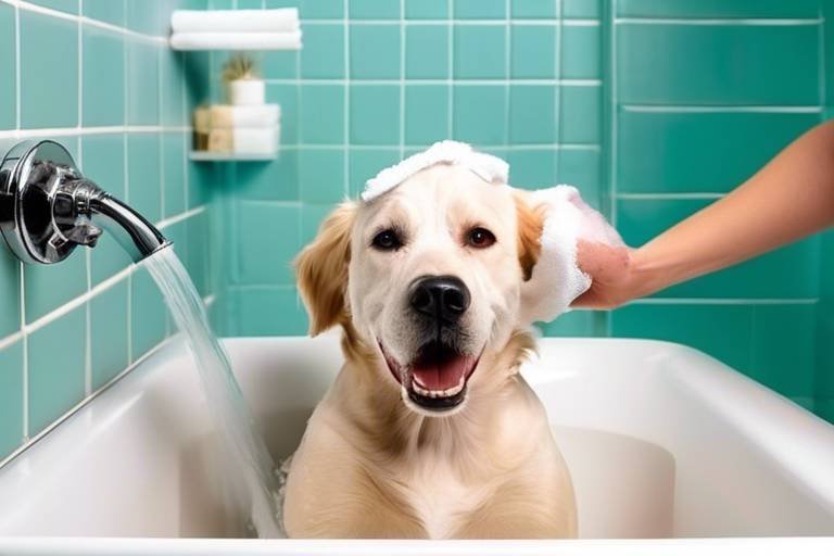 The Best Practices for Bathing Dogs with Sensitive Skin
