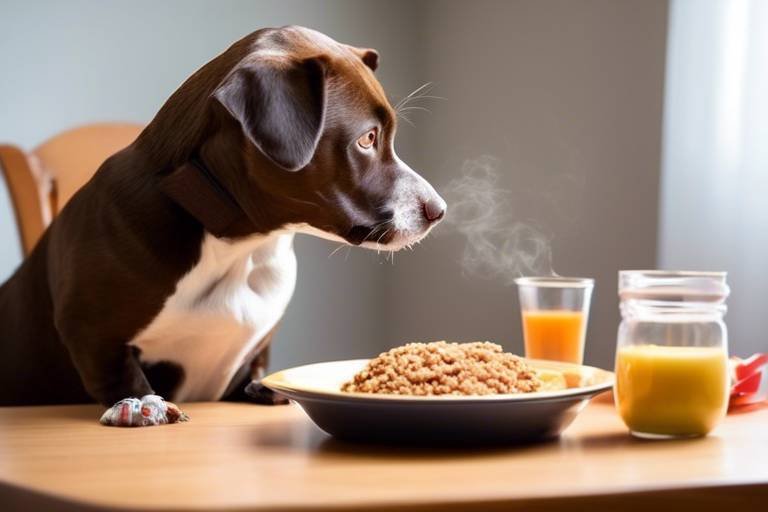 What to Do If Your Pet Has a Bad Reaction to Food