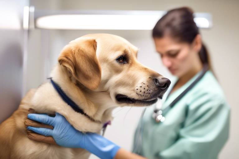 How to Help Your Dog Overcome Fear of the Vet