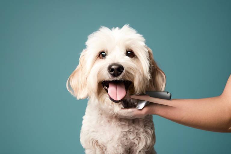 The Role of Grooming in Overall Pet Health