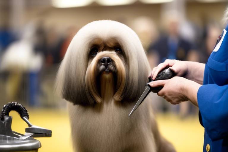 The Benefits of Regular Grooming for Dog Shows