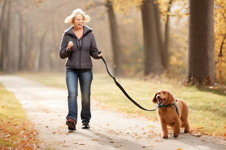 How to Address Leash Aggression in Dogs