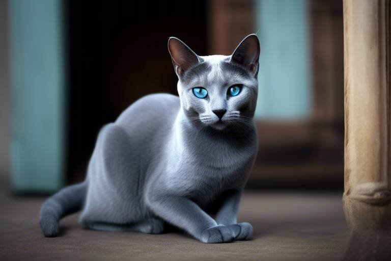 The Gentle Spirit of the Russian Blue Cat