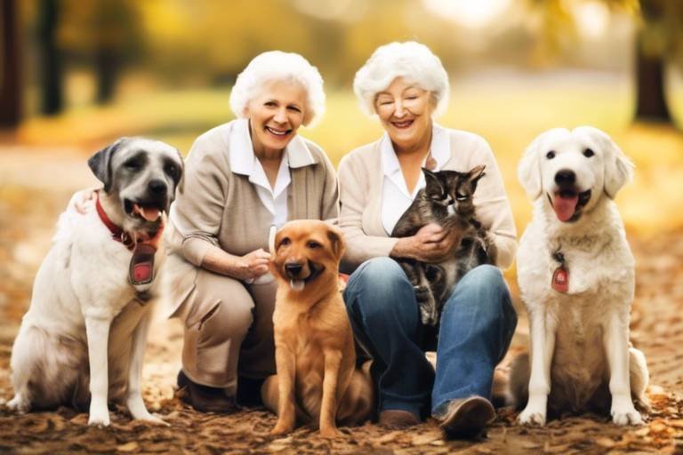 The Role of Socialization in Senior Pet Care