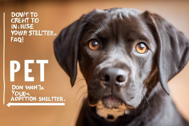 How to Create a Pet Adoption FAQ for Your Shelter