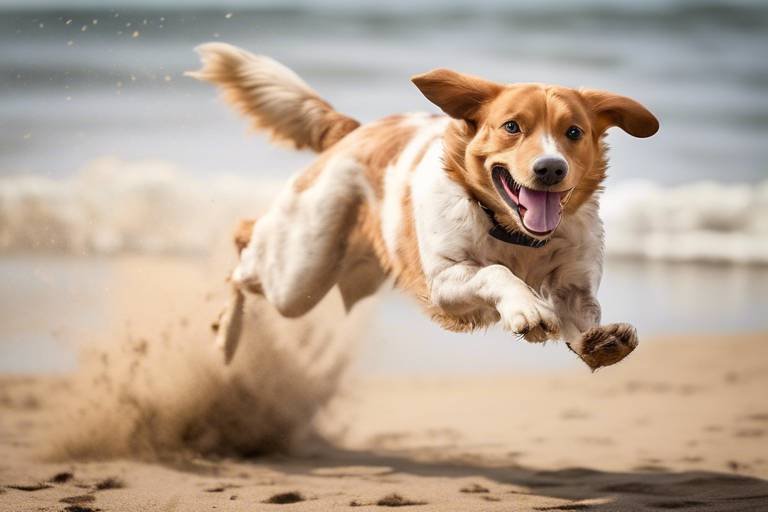 How to Address Jumping Behavior in Dogs