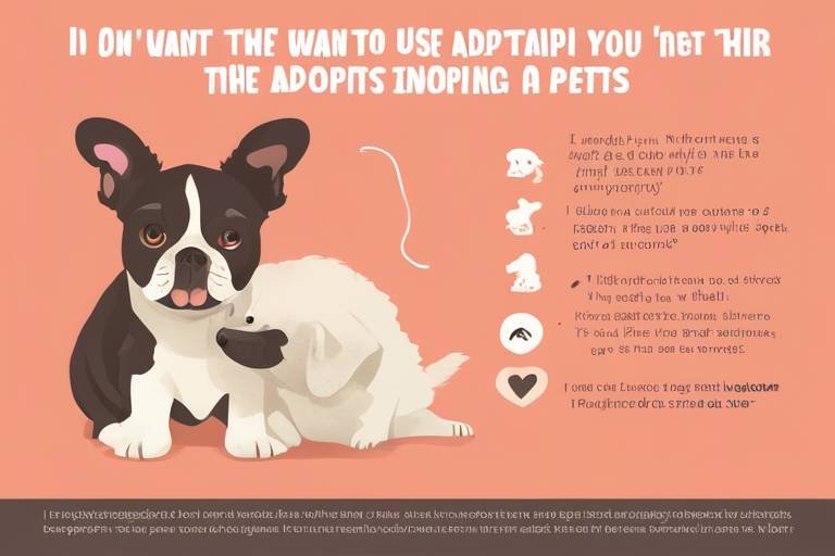 The Benefits of Adopting a Pair of Pets