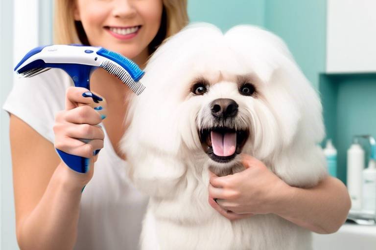 The Best Dog Grooming Tools Every Owner Needs