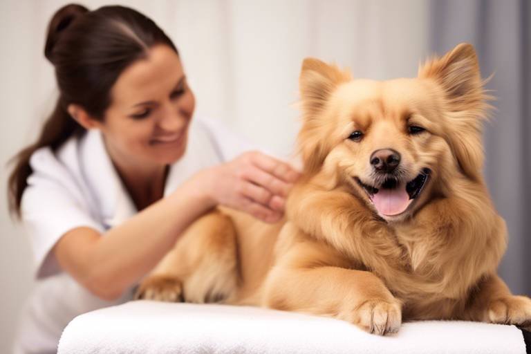 The Benefits of Pet Massage Therapy