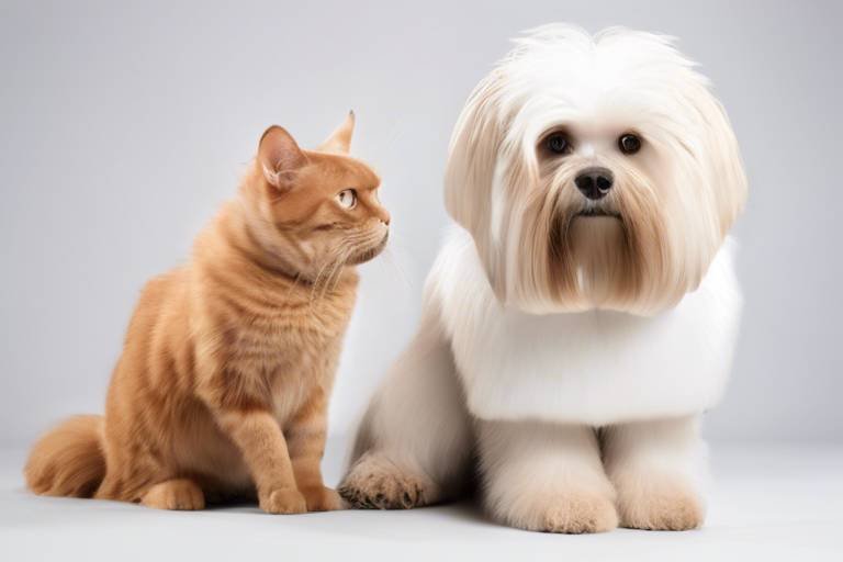 The Importance of Grooming for Pet Comfort