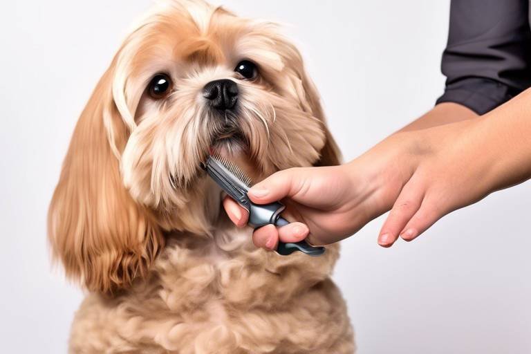 How to Train Your Pet to Accept Regular Grooming