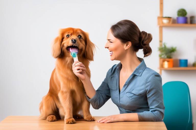 How to Teach Your Pet to Enjoy Grooming with Positive Reinforcement