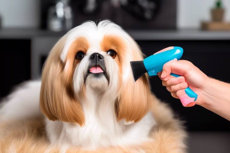How to Help Your Pet Adjust to New Grooming Techniques