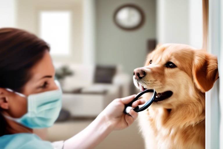The Benefits of Regular Home Check-ups for Pets