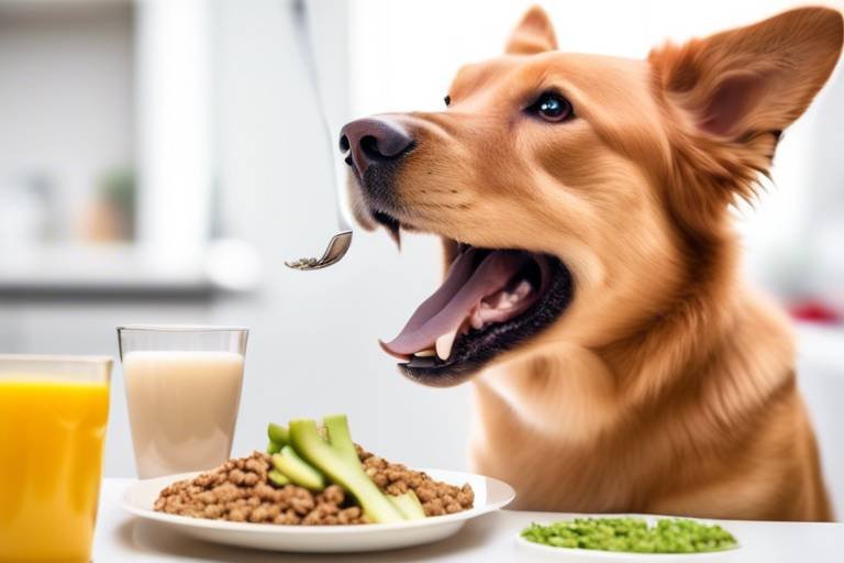 The Connection Between Diet and Dental Health in Pets