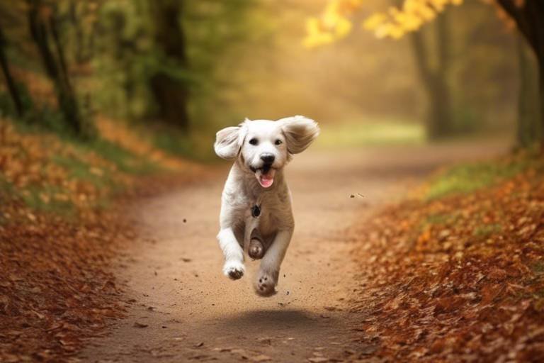 Tips for Teaching Your Dog to Come When Called
