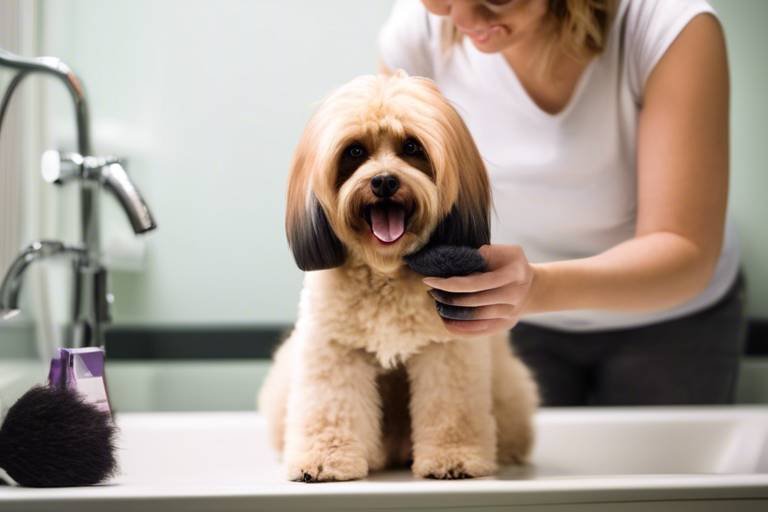The Role of Grooming in Reducing Pet Anxiety