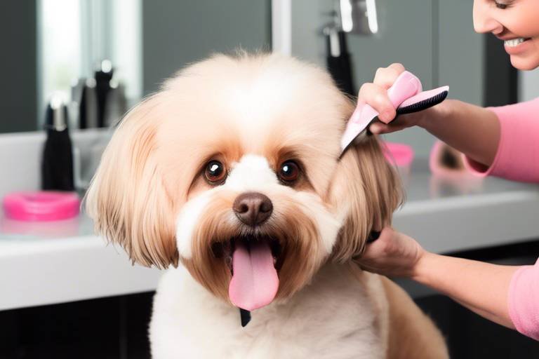 How to Help Your Pet Transition to Professional Grooming