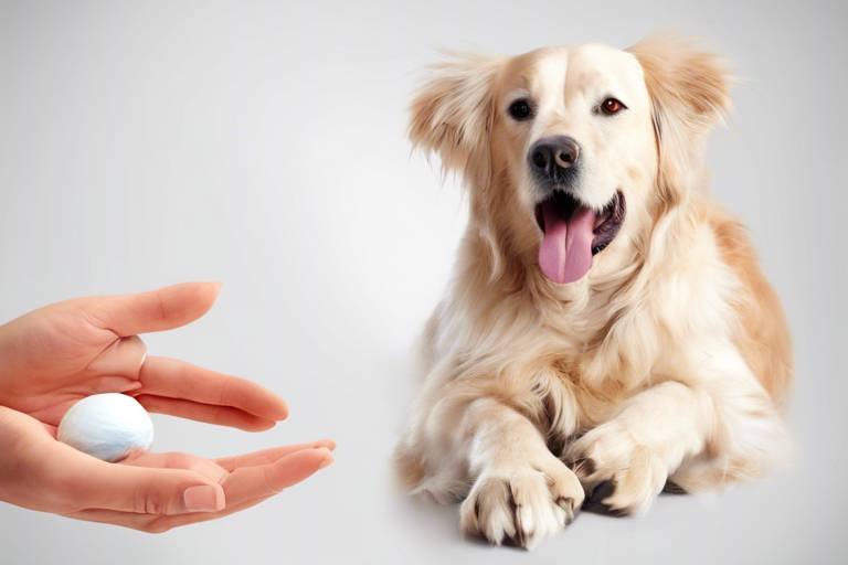 Tips for Caring for Your Pet's Joints