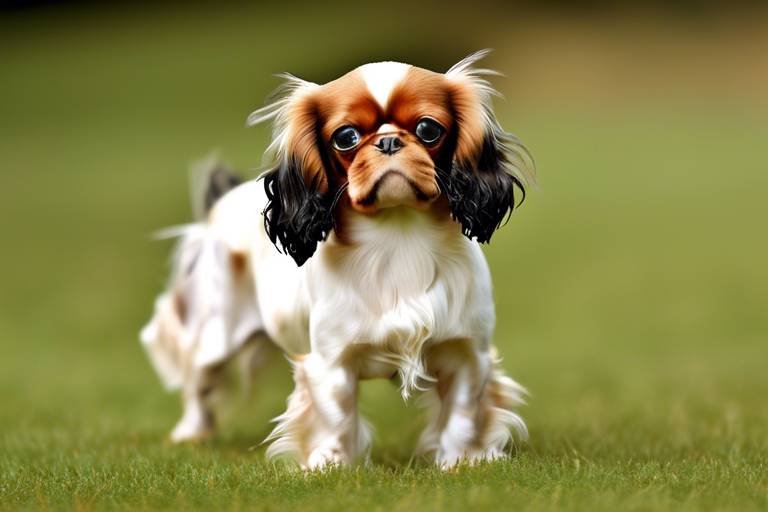 The Unique Features of the English Toy Spaniel