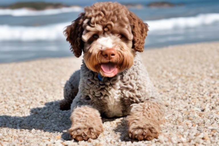 Understanding the Unique Nature of the Lagotto Romagnolo