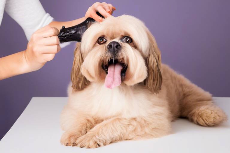How to Train Your Pet to Be Calm During Grooming