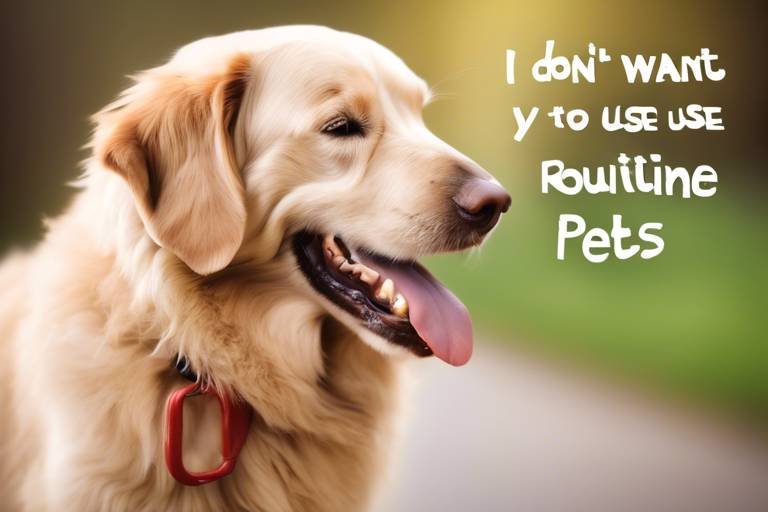 The Benefits of a Consistent Routine for Senior Pets