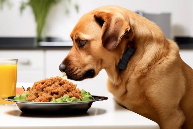 The Benefits of Feeding Your Pet Home-Cooked Meals