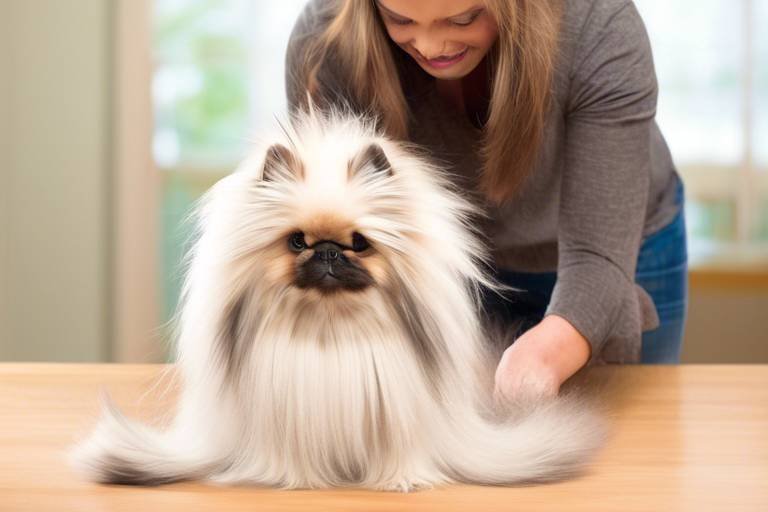 Tips for Grooming Pets with Long Fur