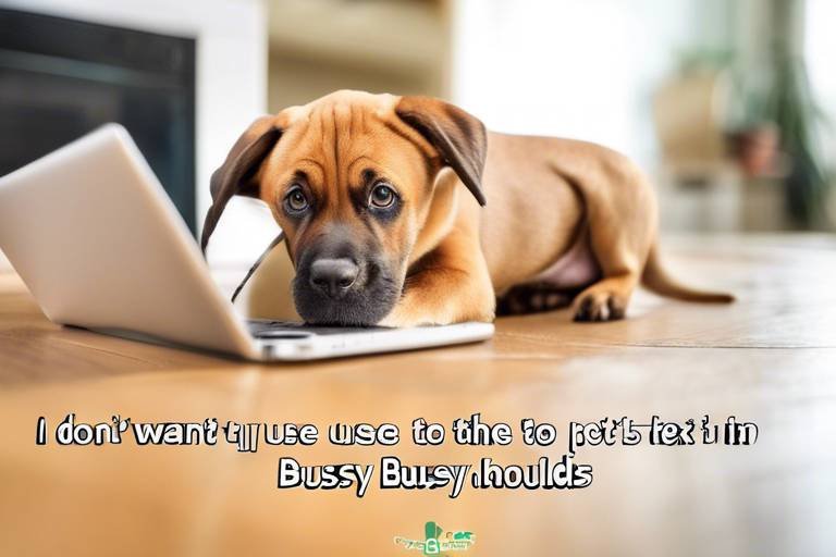 The Best Practices for Pet Safety in Busy Households