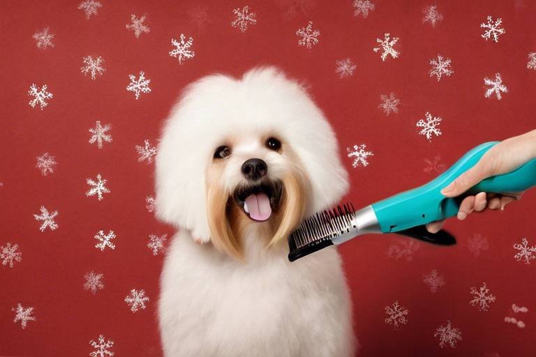 The Best Time of Year for Grooming Your Pet
