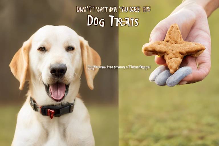 Tips for Teaching Your Dog to Perform for Treats