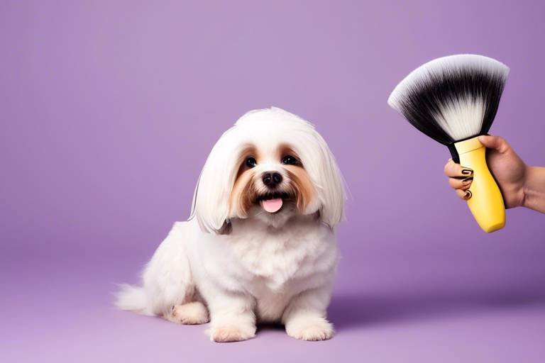 How to Create a Fun Grooming Routine for Your Pet